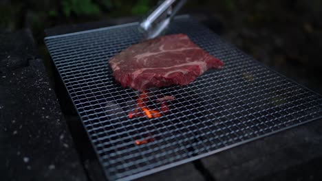 imágenes de cerca de carne de cerdo cocinada sobre la parrilla con llamas de fuego ardiente debajo