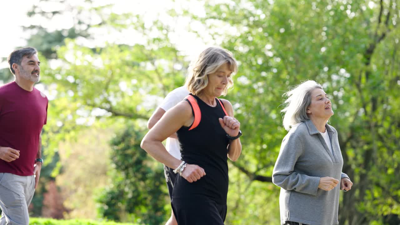 Group of Adults Exercising in a Park