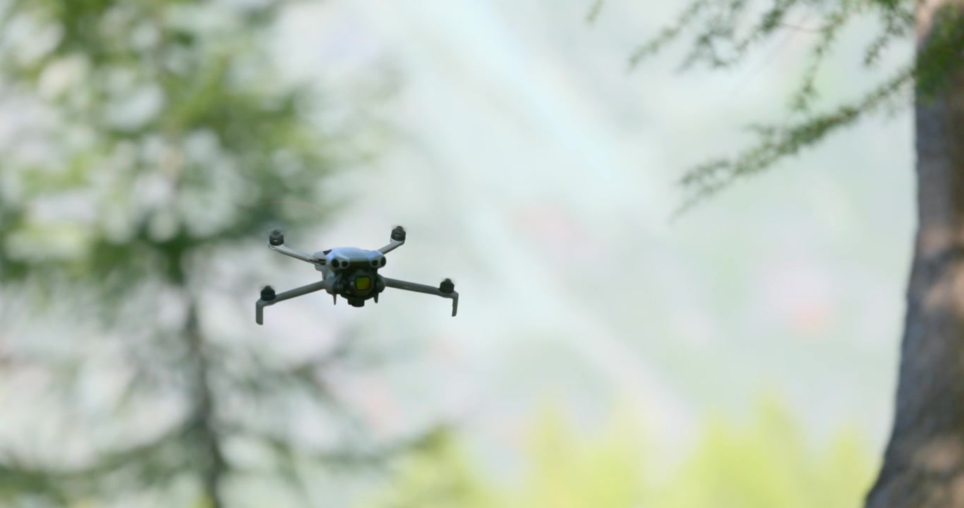 Primo piano di un piccolo drone quadricottero DJI Mini che vola nella foresta. Spazio per il testo