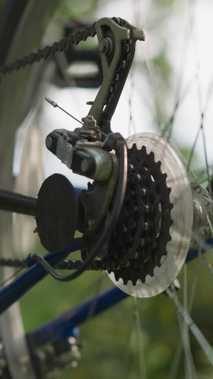 primer plano de la rueda trasera de la bicicleta y el sistema de engranajes mientras la rueda gira brevemente, la cadena y el engranaje están en foco, mientras que el fondo de la vegetación borrosa