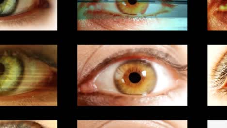 Augen-Multiscreen-02