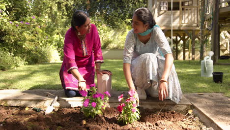 gardening together, indian mother and daughter planting flowers and bonding in backyard garden