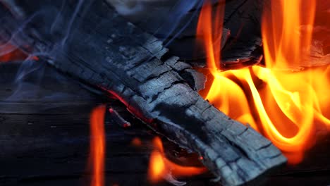 burning fire. in the fire burn wood chips trees. campfire camp fire summer burning fire.