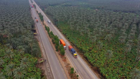 Luftaufnahme-über-Die-Autobahn,-Die-Durch-Eine-Große-Dattelpalmenplantage-In-Khairpur-Sindh-Führt