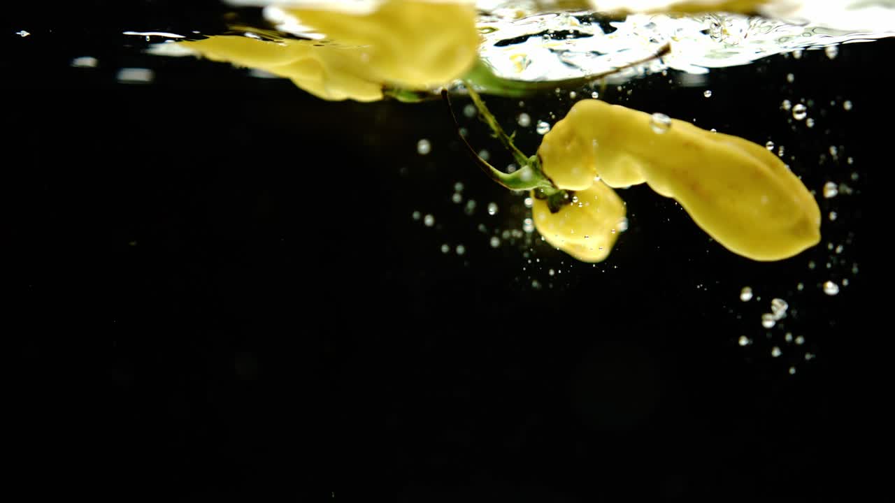 супер медленное движение свежих перцев мадам жаннетты, падающих в воду на черном фоне