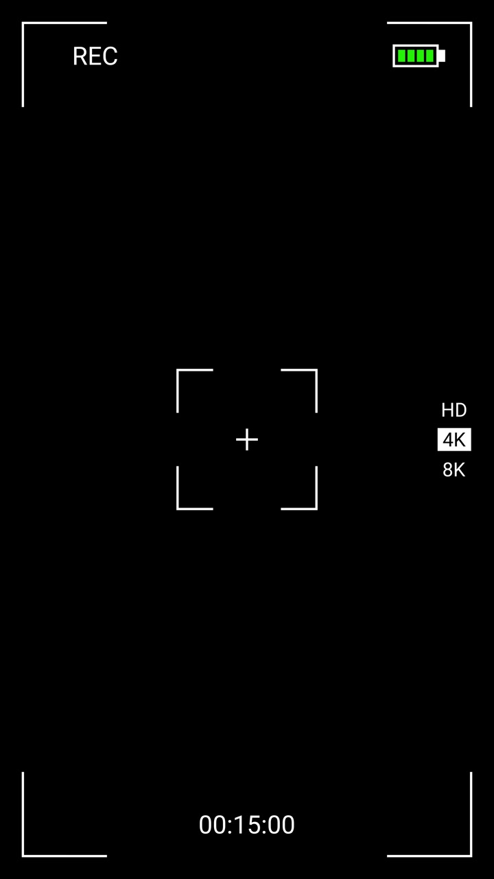 Digital Camera Viewfinder Interface Overlay