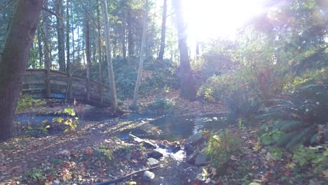 Moving-Shot-of-Bridge-over-a-creek-in-British-Columbia