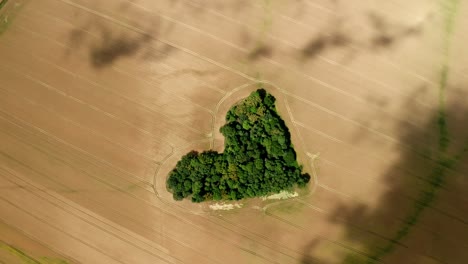 Vista-Superior-De-La-Arboleda-En-Forma-De-Corazón-De-Zagajnik-Milosci-En-Skarszyn,-Polonia