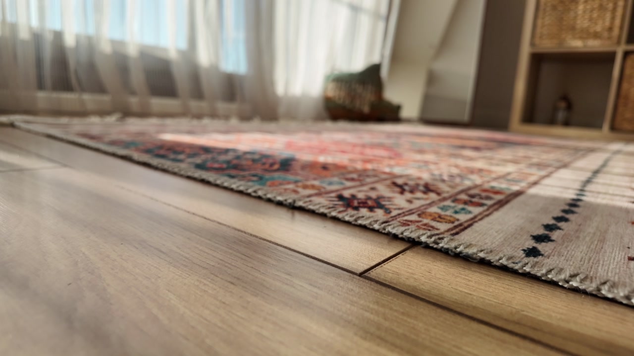 Sunlight and Shadows Moving Across a Wooden Floor and Patterned Rug