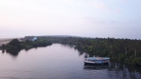 mangrove forest in the lush kerala backwaters in south india - aerial sideways