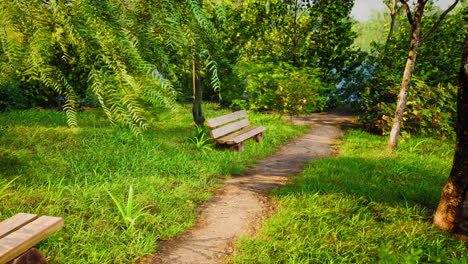 Hermoso-Banco-En-El-Parque-En-El-Día-Soleado-De-Primavera