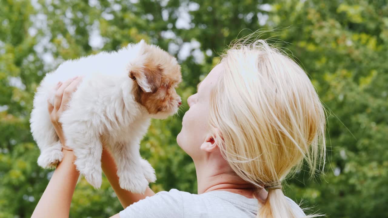 한 여자가 손에 갈색 강아지를 들고 그를 바라보고 있다. 사랑스러운 애완동물. 뒷면