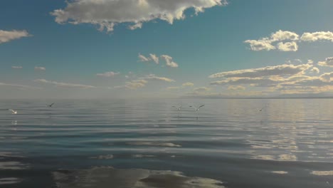 Toma-Aérea-Del-Mar-Salton-Y-Parte-De-Su-Naturaleza-Y-Aves,-En-El-Sur-De-California