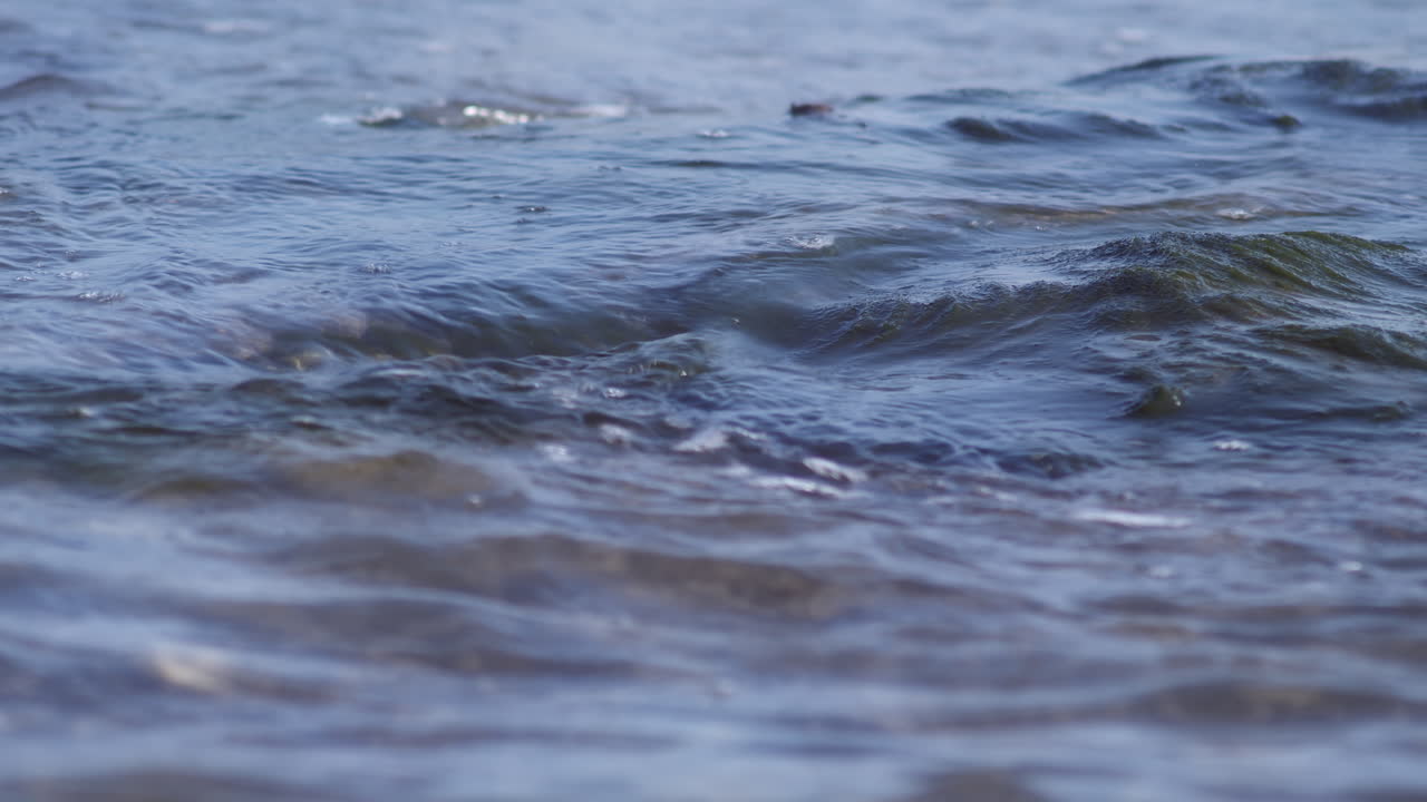 파도가 해초로 덮인 바위 위로 부드럽게 굴러갈 때 낮은 시야를 닫고, 선별적인 초점