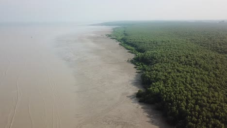 Aerial-view-mangrove-trees-forest-at-Penang,-Malaysia.