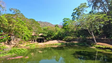 crossing a bridge in chonburi's green landscape