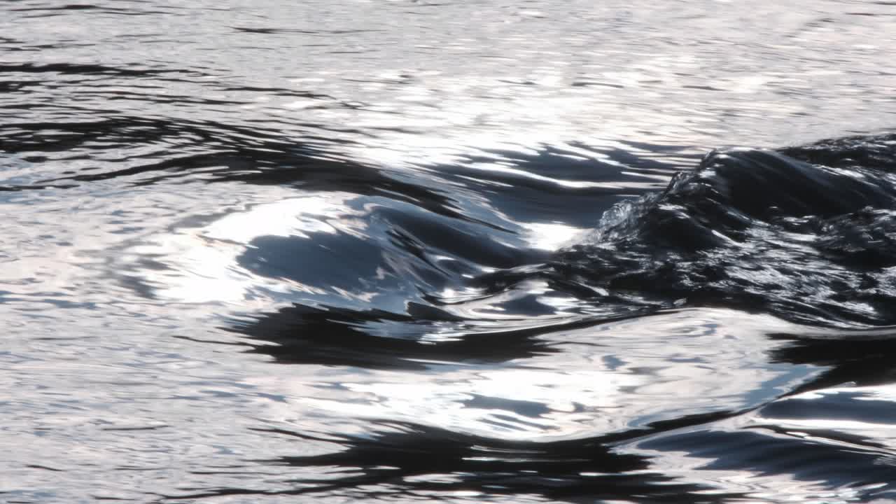 강 b-롤: 작은 강의 수압에 반사되는 스펙트럼 햇빛