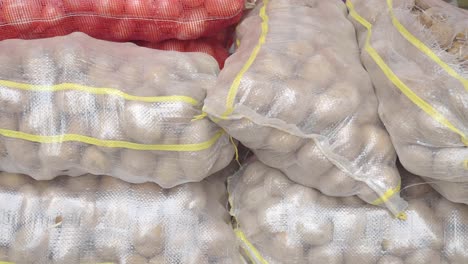 bolsas de patatas y cebollas