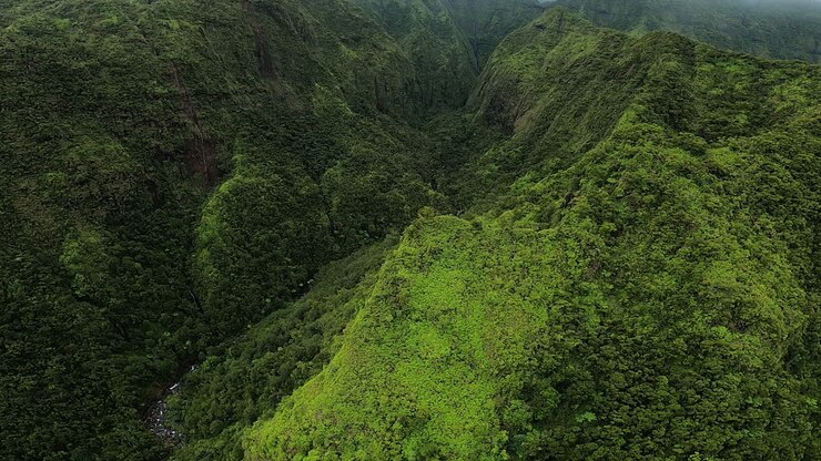 Aerial View of Lush Tropical Mountains and Valley