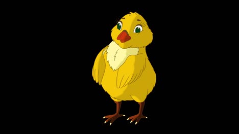 el pollo naranja se pone de pie y se sacude (alfa mate)