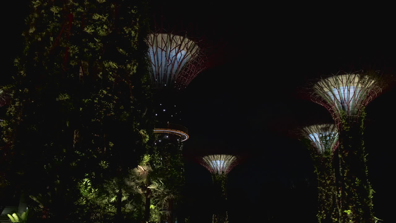 Supertree Grove bei Nacht, Gardens by the Bay, Singapur