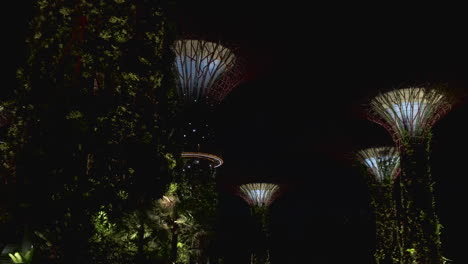 el bosque de superárboles por la noche, jardines junto a la bahía, singapur