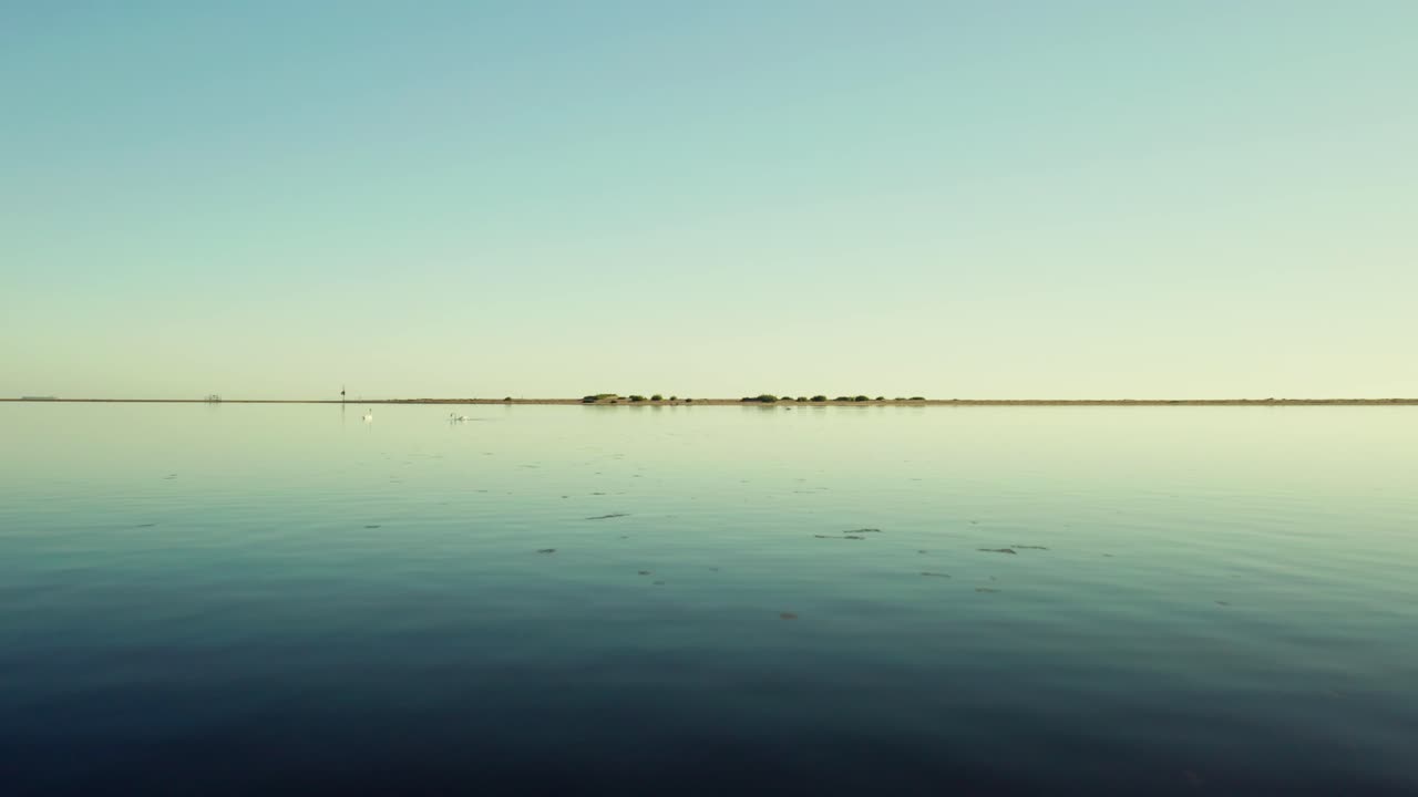 vuela sobre un paisaje marino sereno con una escena de vida silvestre de cisnes en la costa del mar báltico en polonia