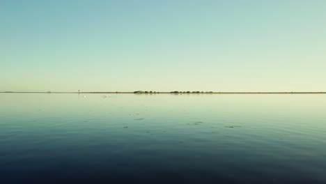 vuela sobre un paisaje marino sereno con una escena de vida silvestre de cisnes en la costa del mar báltico en polonia