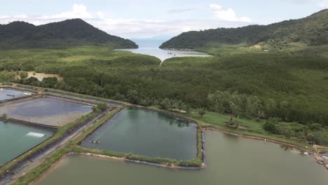 aerial drone spin rotation shot of industrial shrimp farm on the edge of a national park in thailand