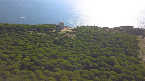 Aerial-view-of-a-lighthouse-in-the-top-of-a-big-cliff-in-the-mediterranean-coast-of-Spain-on-a-bright-and-sunny-day