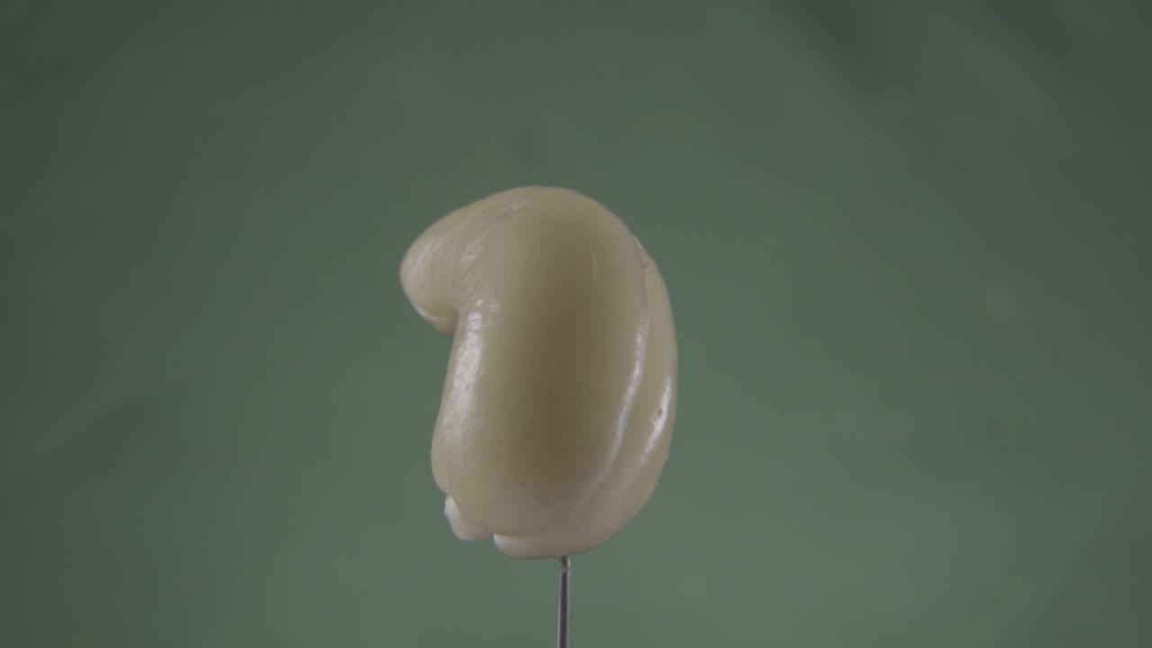 크로마 키를 위해 녹색 화면에 루프와 함께 회전하는 캐슈