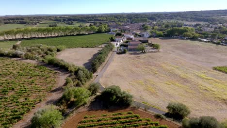 nizas, a small village surrounded by vineyards in the hérault department