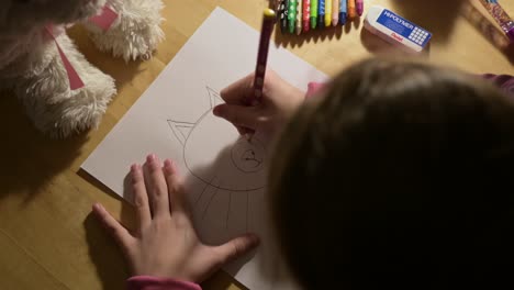 child kid learning how to drawing a cat in his own art class room