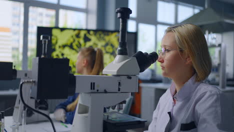 scientists using microscopes in a laboratory setting