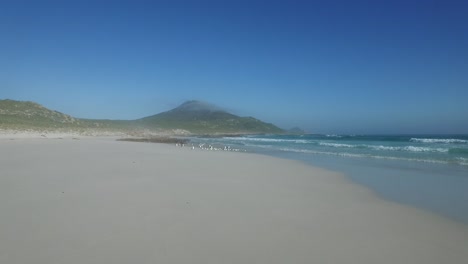 la costa del cabo de sudáfrica