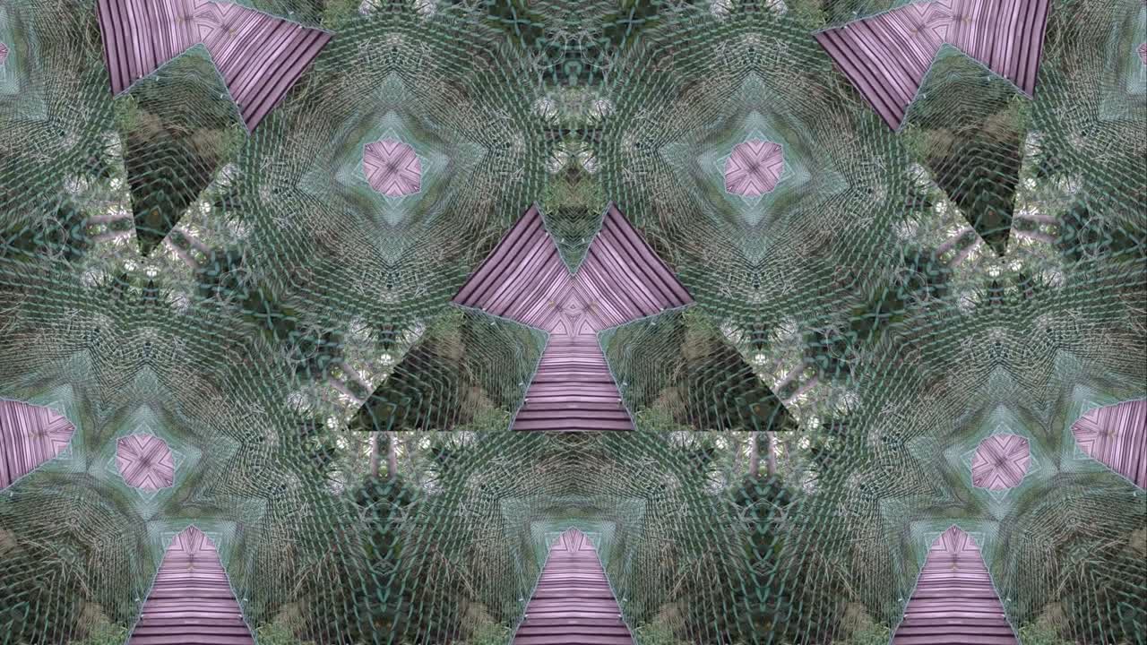 caleidoscopio de dosel de madera en el fondo abstracto 4k vista