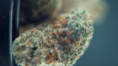 A-vertical-macro-cinematic-detailed-shot-of-a-cannabis-plant,-hybrid-orange-strains,-sativa-,marijuana-flower,-on-a-rotating-stand,-Full-HD,-slow-motion-120-fps,-professional-studio-light