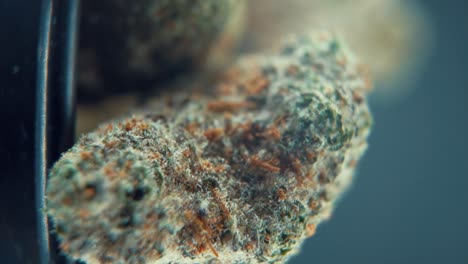 una toma cinemática macro vertical detallada de una planta de cannabis, variedades híbridas de naranja, sativa, flor de marihuana, en un soporte giratorio, full hd, cámara lenta 120 fps, luz de estudio profesional