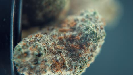 a vertical macro cinematic detailed shot of a cannabis plant, hybrid orange strains, sativa ,marijuana flower, on a rotating stand, full hd, slow motion 120 fps, professional studio light