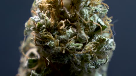hierba de cerca, macro de cannabis y marihuana