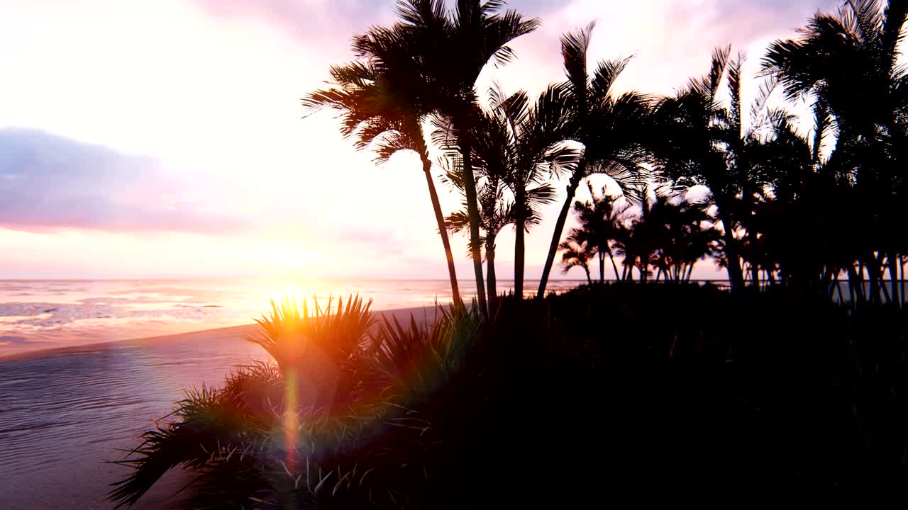 끝없는 바다 위에 놀라운 저녁 일몰, 파란 하늘, 노란 태양, 나무, 끝없는 해와 바다 풍경, 여름, 바가에서 아름다운 일몰, 루핑 애니메이션.