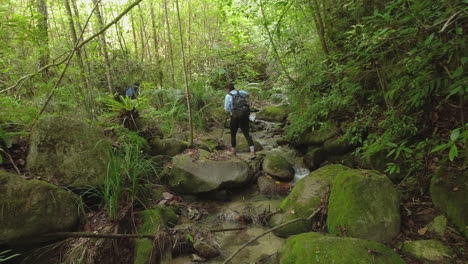 Slo-mo:-Female-hiker-following-guide-hops-across-small-jungle-stream