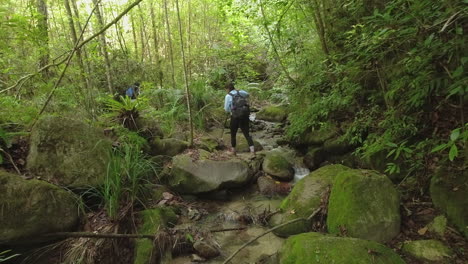 slo mo: female hiker following guide hops across small jungle stream