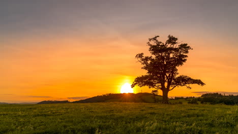 &quot;Zeitraffer-Der-Untergehenden-Sonne-Mit-Blick-Auf-Einen-Verlassenen-Baum-Auf-Einem-Hügel-Hinter-Dem-Horizont-Eines-Orangefarbenen-Sonnenuntergangs-Mit-Vielen-Wolken-Und-Einem-Wechsel-Der-Himmelsfarben-An-Einem-Sommertag,-Eingefangene-Natur-Auf-Einem-Hügel