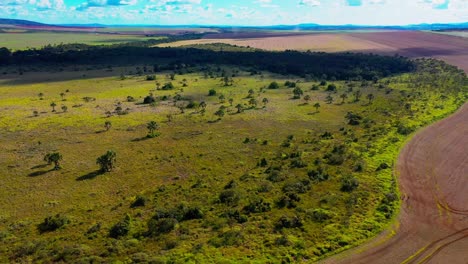 Plowed-fields-and-deforested-land-in-the-Brazilian-savannah-resulting-in-drought-and-global-warming---aerial-view