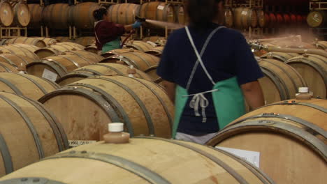 a woman hoses off wine barrels in a santa barbara county winery california