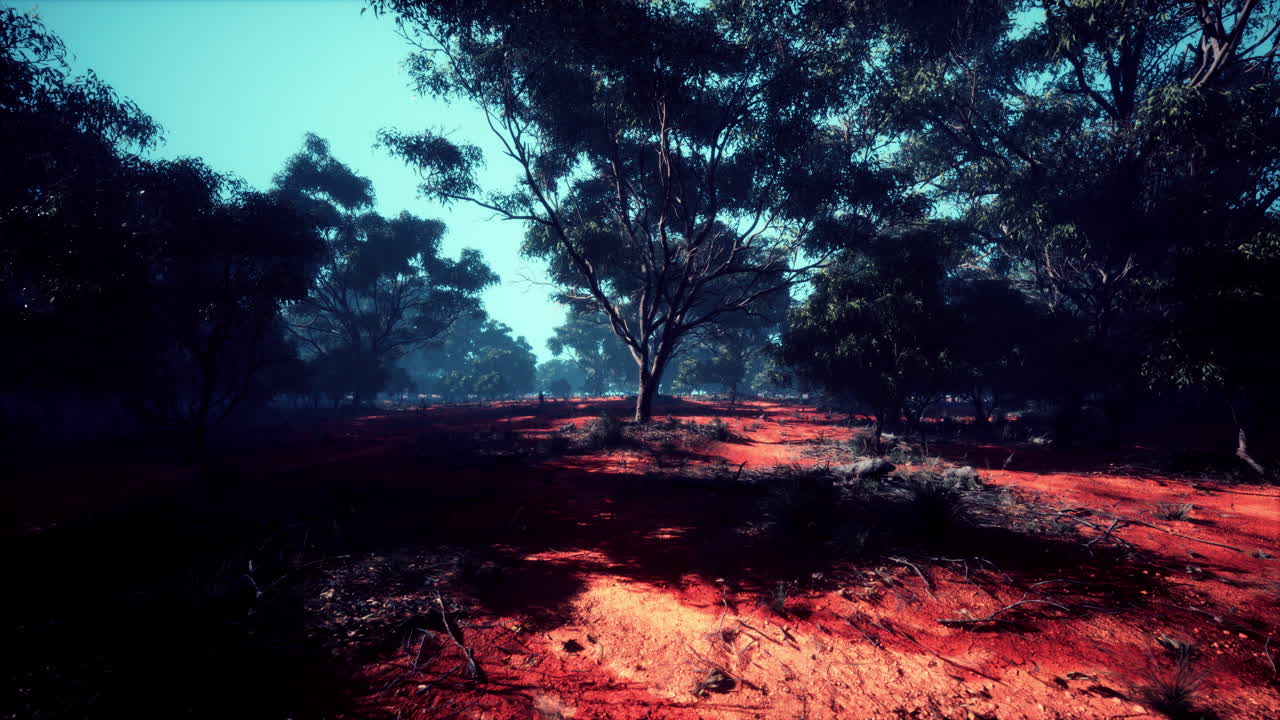 el bosque místico de tierra roja