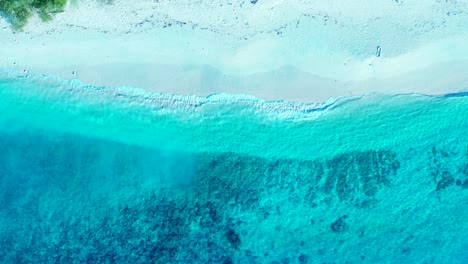 Calm-clear-water-of-illuminated-azure-lagoon-with-coral-reefs-on-sea-bottom-washing-white-sand-of-exotic-beach,-Caribbean