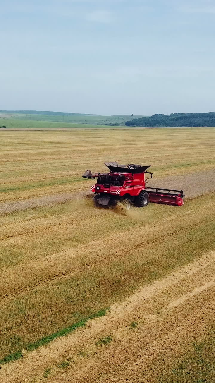 Aerial view. Combine harvester working on sunny summer day. Harvest time. Agricultural sector Vertical video