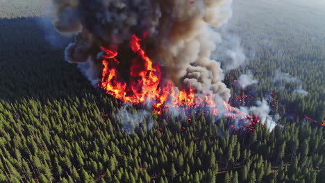 vista aérea de un incendio forestal